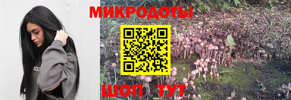 продажа наркотиков  Вход с VPN  Псилоцибиновые грибы GOLDEN TEACHER  Янаул  Галлюциногенные грибы ЛСД 